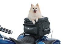 KURYAKYN BAG PET PALACE GRAND Gepäcktasche