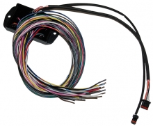 Namz, Bagger Can Bus Controller For Custom Handlebar Switches