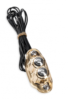 Kustom Tech Deluxe Switch Housing with 2 Button in Polish Brass