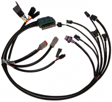 NAMZ OEM Complete EFI Harness (2002-2005)