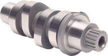 Cam Milwaukee Eight M450