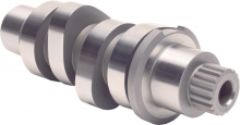 Cam Milwaukee Eight M504