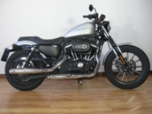 MCJ verstellbare Auspuff-Endschalldämpfer Royal Chrom  Sportster 2014-2016 mit Tüv