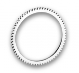 FL RING GEAR 33163-65B
