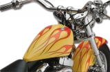BOBBER TNK 00+ S/T FRMS