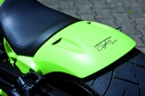 GFK 240 Race Rear Fender V-Rod Short Cut