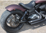 Ricks Rear Fender for Dyna 180