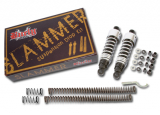 Burly Slammer Kit with black rear shocks