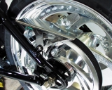 Belt Guard Polished
