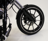 Front Fender Custom V1